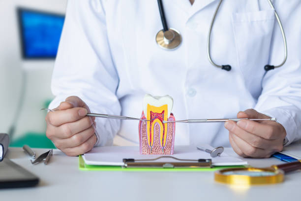 Best Broken Tooth Emergency  in Collinsville, VA